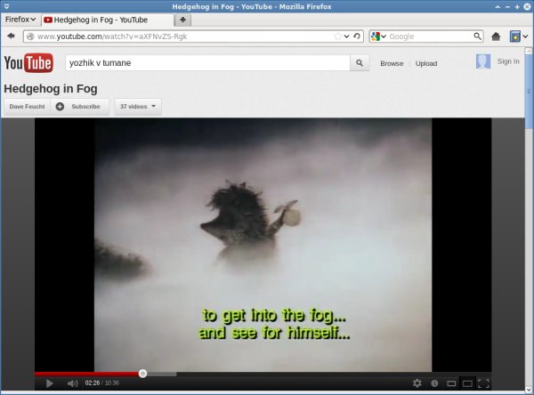 Youtube, Flash